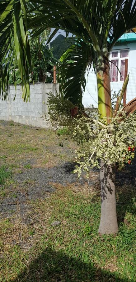 La Casa Mia Guesthouse La Gaulette Ngoại thất bức ảnh
